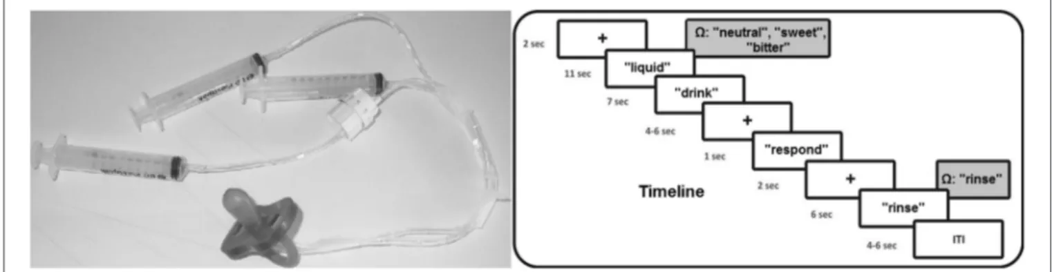 FIGURE 1 | Timeline of the experimental procedure and picture of the used materials for the liquid administration