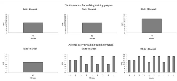 Figure 1. Training programs used in the study. 