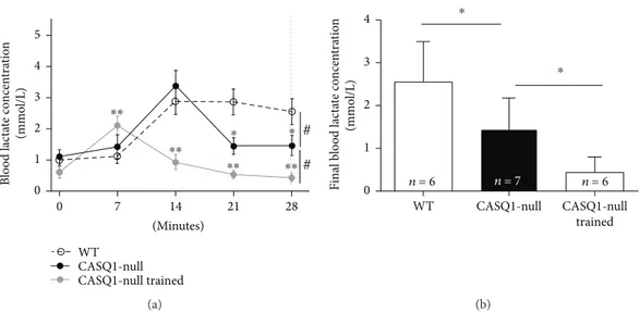 Figure 2: Accumulation of lactate in the bloodstream during constant load test. (a) Lactate accumulation in the blood during a 28-minute constant load test (at 85% of maximal speed reached during the incremental test)
