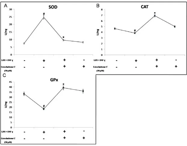 Figure 3. Evaluation of SOD, CAT and GPx activity. Activity of SOD (A), CAT (B) and  GPx (C) is illustrated; Licochalcone significantly influence SOD, CAT, and GPx activities  levels