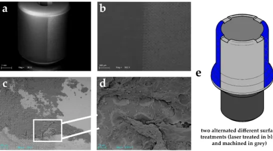 Figure 1. SEM images showing an experimental healing abutment used in this study: (a) showing the  two different alternated surface treatments (laser treated on right and machined on left)
