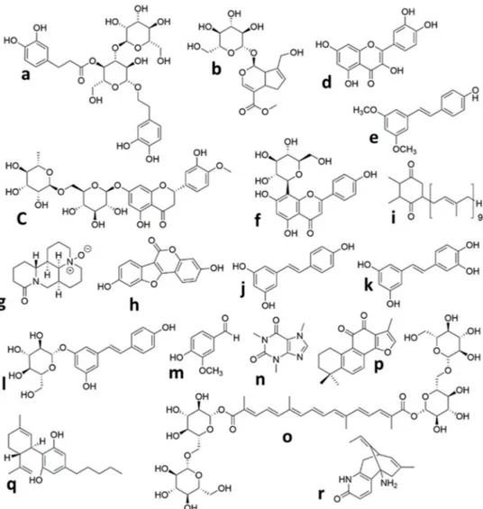 Figure 1. Chemical structures of the isolated compounds from plants in animal models of neonatal Hypoxic Ischemic brain injury