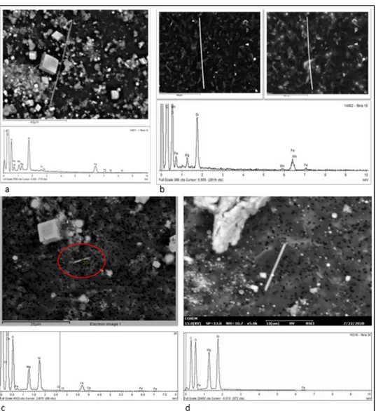 Figure 3. Some examples of SEM images and EDS spectra of each detected kind of asbestos