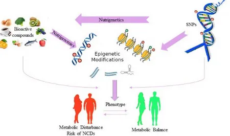 Figure 1. Interactions among genes, diet and human health.