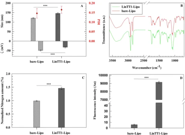 Fig. 1. Physicochemical properties of liposomes evaluated before and after conjugation of LinTT1