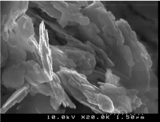 Figure 1. SEM image of raw kaolin.