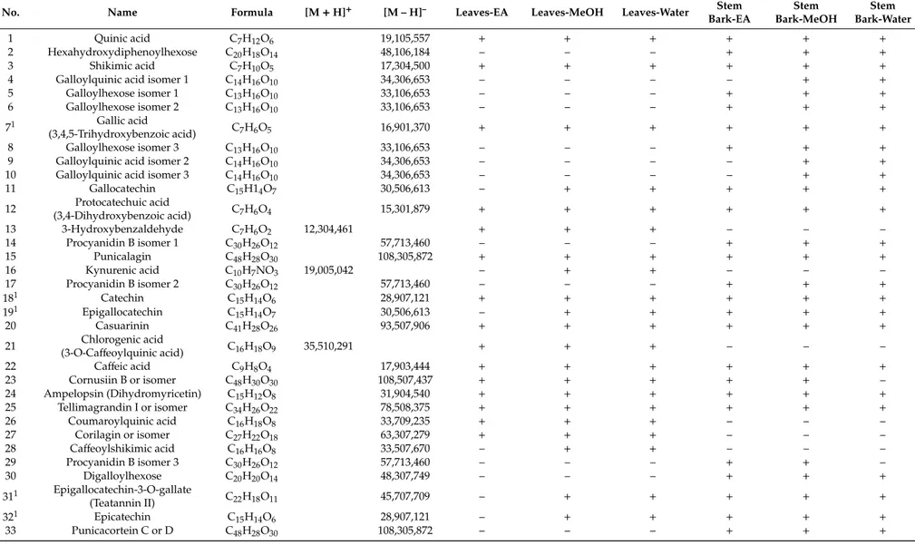 Table 3. Chemical composition of A. leiocarpus extracts.