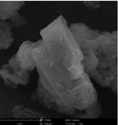 Figure 4.  SEM image of Li-A(BW) zeolite crystal obtained at 30 h of synthesis run.
