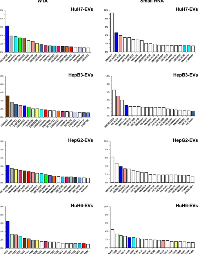 Figure 7: The 20 most abundant snoRNAs contained in EVs derived from the 4 LCC-lines.  The colored columns identify the  snoRNAs found in more than one cell line, white columns show snoRNAs found only in one specific cell line