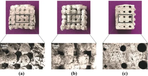 Figure 5.  SEM images of STa_DHCF sample at different magnifications ranging from centimeter to nanometer  scale.