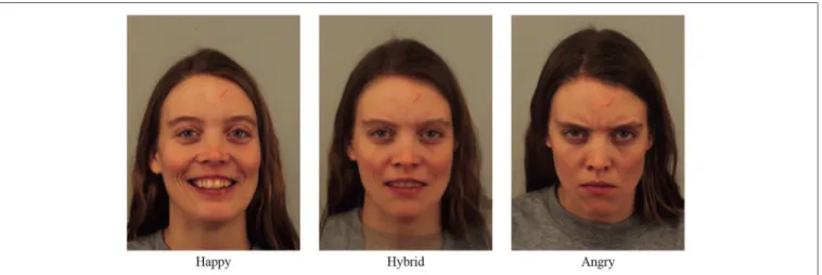 FIGURE 1 | Example of hybrid face.