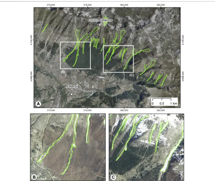 FIGURE 5 | Evidence of snow avalanches (green lines) on April 2009. (A) Entire Assergi-Pizzo Cefalone area (on orthophotos taken April 8, 2009)