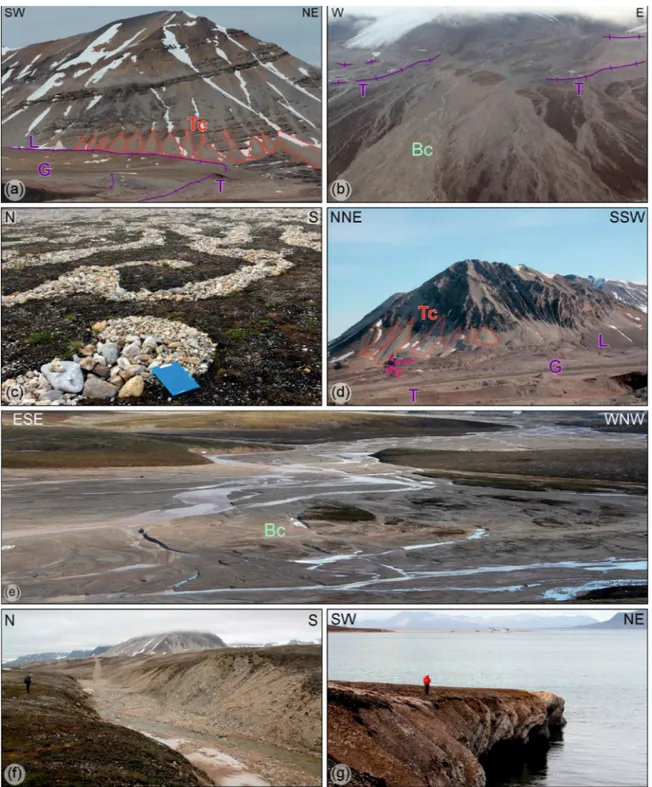 Figure 4. Quaternary deposits and landforms of the Ny-Ålesund area. (a) Terminal (T), lateral (L), and ground (G) moraines of Vestre Brøggerbreen; in the background talus cones (Tc) on the slope of Zeteligfjellet; (b) Terminal moraine (T) of the Vestre and