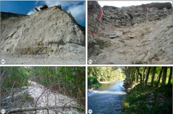 Figure 3. Quaternary continental deposits outcropping near Pescara del Tronto. (a) Ancient slope and landslide deposits; (b) Cal- Cal-careous tufa deposits in correspondence of the damaged urban area; (c) Recent debris deposits; (d) Fluvial and alluvial de