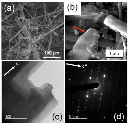 Figure 2. UICC standard anthophyllite Finnish NB #4173-111-5 sample (Table 1). Representative  FEG-ESEM images at relatively low (a) and high (b) magnification, where a platy talc particle (red  arrow) is visible