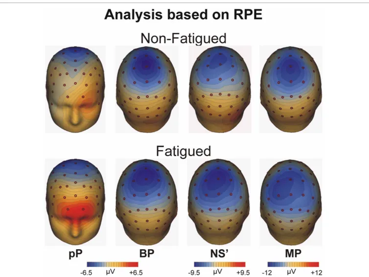FIGURE 4 | Topographical maps of the MRCP averaged across all blocks for the fatigue and non-fatigued RPE cohorts for the pP, BP, NS’, and MP peak activity.