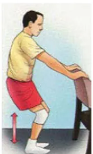 Figure 10. Partial squats, using chair  Exercises 6 