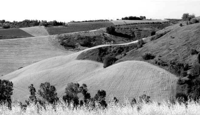Figura 10.  Area Vestina (Pescara), collina interna, progressiva estensione di specie arbustive spontanee sui campi incolti  (foto B