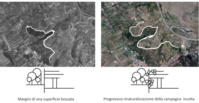 Figura 1. Piani di Aielli (L ’ Aquila).  Progressiva estensione di specie arbustive spontanee sui campi incolti e sui prati (visioni  zenitali, 1980 e 2018).