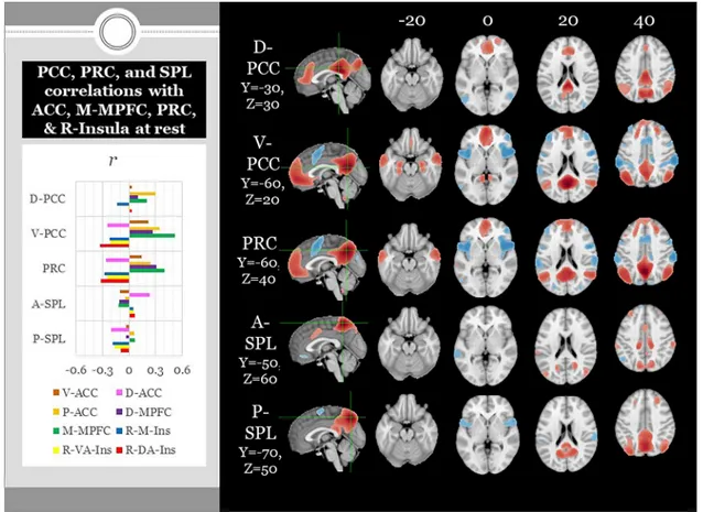Fig. 8. Title: Resting state functional connectivity analysis examining D-PCC, V-PCC, PRC, and medial SPL seed regions with ACC, M-MPFC, PRC, &amp; right insula