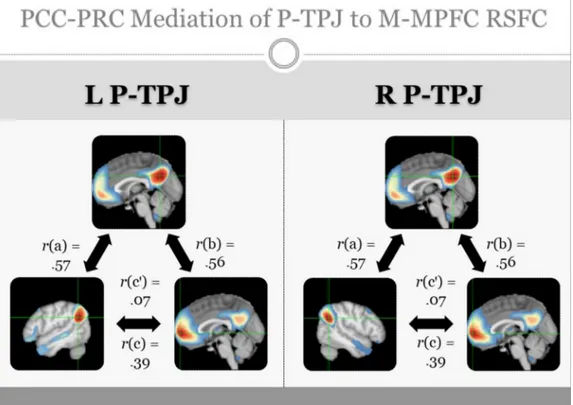 Fig. 13. Title: Resting state functional connectivity analysis examining bilateral dorsal and ventral anterior insula seed regions with M-MPFC, ACC, and PRC
