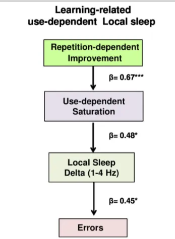 FIGURE 5 | Learning-related use-dependent local sleep model. Path analysis model examining the contributions of repetition-dependent improvement and use-dependent saturation to local sleep and errors in a hypothesized model