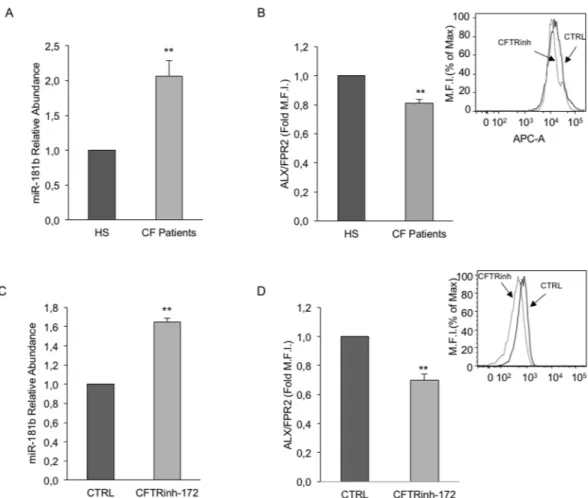 Figure 3.  miR-181b and ALX/FPR2 expression in normal and CF-MΦs. MΦs and CF- MΦs were obtained 