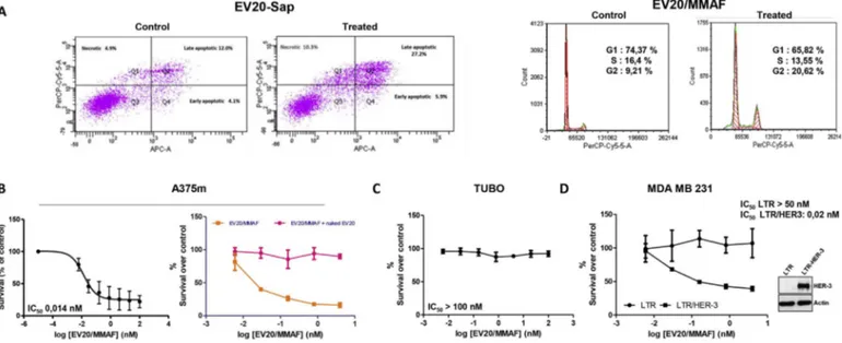 Fig. 2. EV20/MMAF displays potent and speciﬁc in vitro cell killing activity.