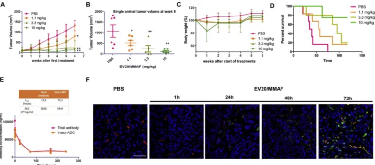Fig. 4. EV20/MMAF treatment leads to a long lasting and dose dependent tumor growth inhibition and increased survival.