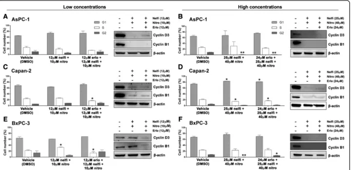 Fig. 5 Combinations of nelfinavir and nitroxoline, with or without erlotinib, affect cell cycle in AsPC-1, Capan-2 and BxPC-3