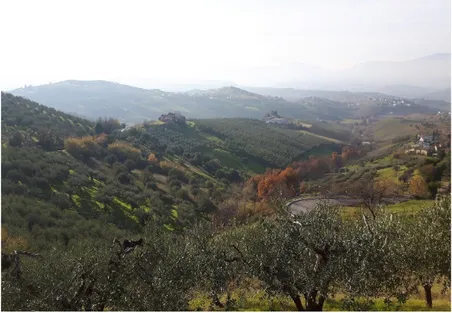 Figure 6. Mosaic of olive tree plots (Abruzzo. Credits: Bruno Imbastaro). 