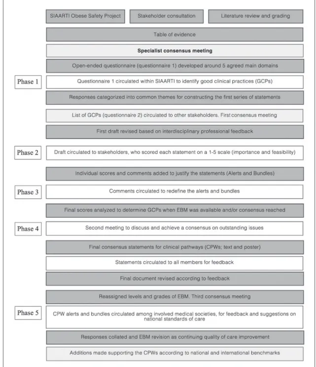 Figure 1.—Process for developing the consensus in perioperative and periprocedural care in obesity, according to a modified  Delphi method (modified from CMACE/RCOG)