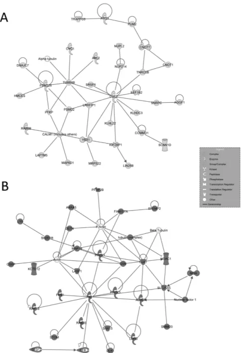 Figure 3.  IPA-inferred top-scored networks associated to cluster A and B gene datasets