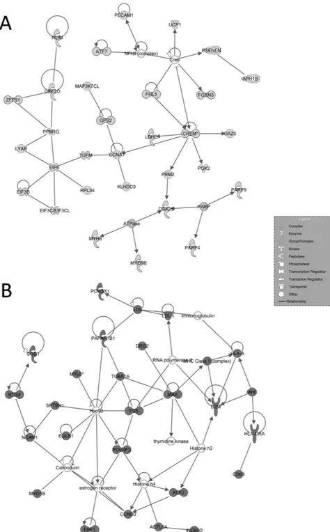 Figure 4.  IPA-inferred second-scored networks associated to cluster A and B gene datasets