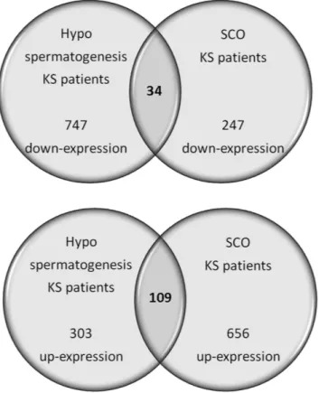 Figure 5.  Common transcripts shared by KS patients affected by SCO and hypospermatogenesis