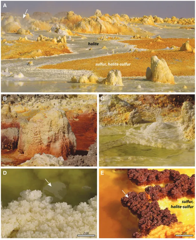 FIG. 10. Dallol Hot Springs site (see Fig. 7). (A) Panoramic view of a field of chimneys, cones, and spring mounds, and sulfur and halite deposits