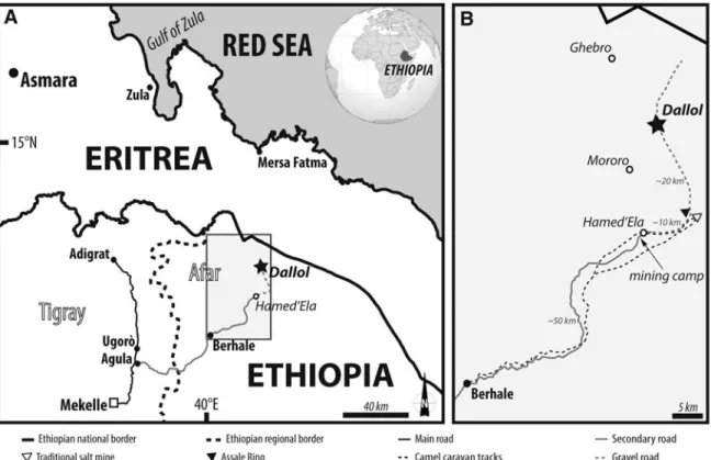 FIG. 2. Simplified tectonic map of the triangular-shaped Afar Depression. The Dallol volcano (star) is located in the northern part of the Danakil Depression