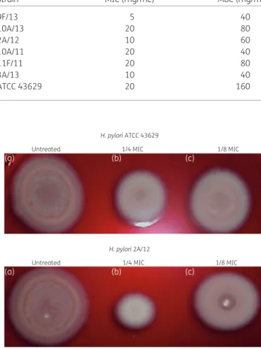 Table 2. Antibacterial activity of bovine lactoferrin against H. pylori strains Strain MIC (mg/mL) MBC (mg/mL) 9F/13 5 40 10A/13 20 80 2A/12 10 60 10A/11 20 40 11F/11 20 80 3A/13 10 40 ATCC 43629 20 160