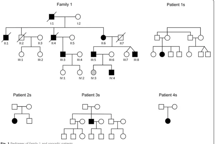 Fig. 1 Pedigrees of family 1 and sporadic patients