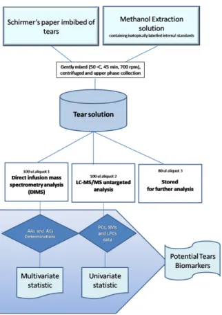 Figure 2. Workflow of tear lipidomics and metabolomics strategy. The scheme summarizes the 