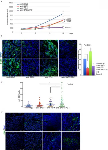 Figure 1  Combined effect of anti-Bcl-2-Associated athanoGene 3 (anti-BAG3) and anti-PD-1 