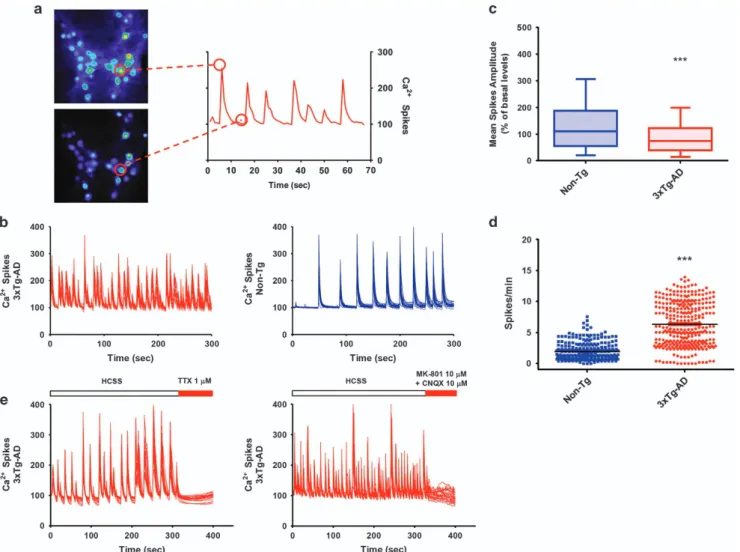 Figure 1 3xTg-AD hippocampal neurons show increased [Ca 2+ ]