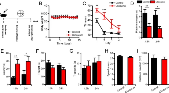 Figure 1.  CQ administration impairs learning and memory performances in mice. Spatial memory 