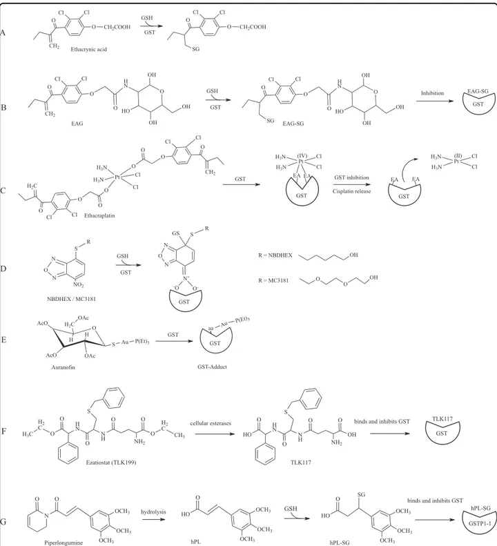 Fig. 5 GST inhibitors. a GST-catalyzed conjugation of ethacrynic acid; b A conjugate of ethacrynic acid and glucosamine (EAG) reacts with GSH and inhibits GSTs; c Ethacraplatin is a Pt(IV)-complex compound which contains two ethacrynic acid moieties