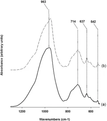 Figure 9.  Infrared spectra of the sample at 15 h of synthesis run 3.