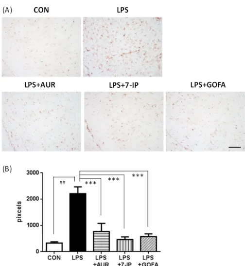 Figure 3. Effects of AUR, 7-IP, and GOFA on LPS-induced microglial hyperactivation in the  substantia nigra