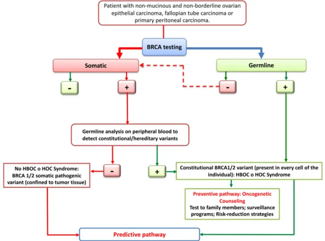 Fig. 1. It is initially preferred to search the BRCA1/2 pathogenic variants on tumor tissue, because the BRCA testing on peripheral blood is able to detect only constitutional/hereditary variants
