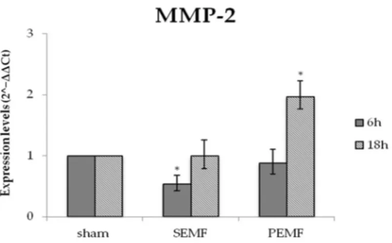 Figure 6. The mRNA expression of metalloproteinase 2 (MMP-2) in hGFs exposed to the SEMF and  the PEMF compared to sham-exposed cells