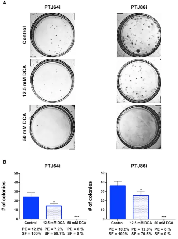Figure 5.  DCA affects clonogenic activity of PTJ64i and PTJ86i cell lines. (A) Representative plates of colony 