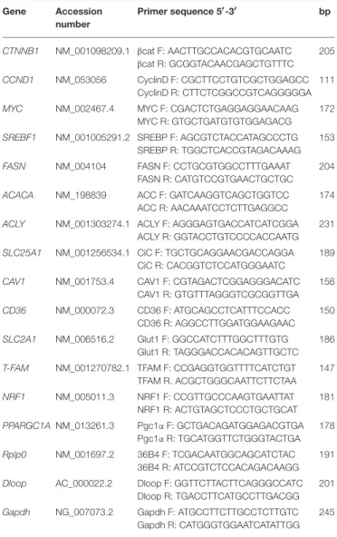 TABLE 1 | Oligonucleotides used for Real time PCR analysis. Gene Accession number Primer sequence 5 ′ -3 ′ bp CTNNB1 NM_001098209.1 βcat F: AACTTGCCACACGTGCAATC βcat R: GCGGTACAACGAGCTGTTTC 205 CCND1 NM_053056 CyclinD F: CGCTTCCTGTCGCTGGAGCC CyclinD R: CTT